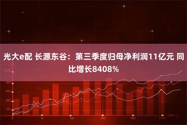 光大e配 长源东谷：第三季度归母净利润11亿元 同比增长8408%